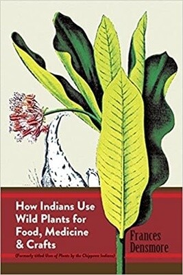 How Indians Use Wild Plants For Food, Medicine &amp; Crafts