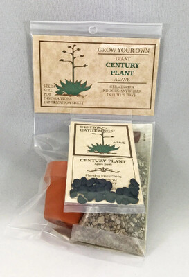 Century Plant Kit