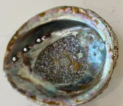 Abalone Shell Smudge Bowl (Medium)