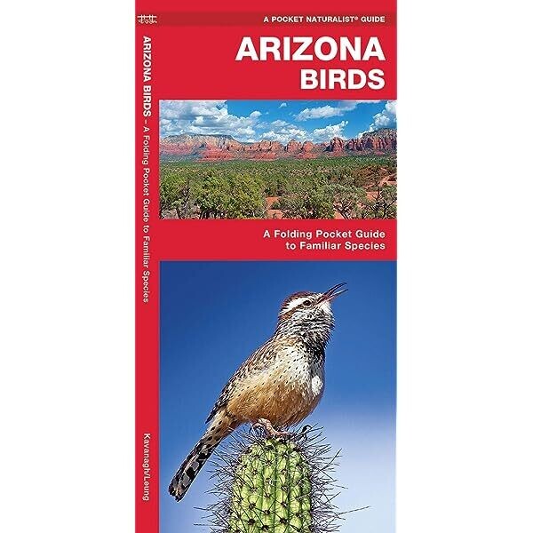Arizona Birds Pocket Naturalist