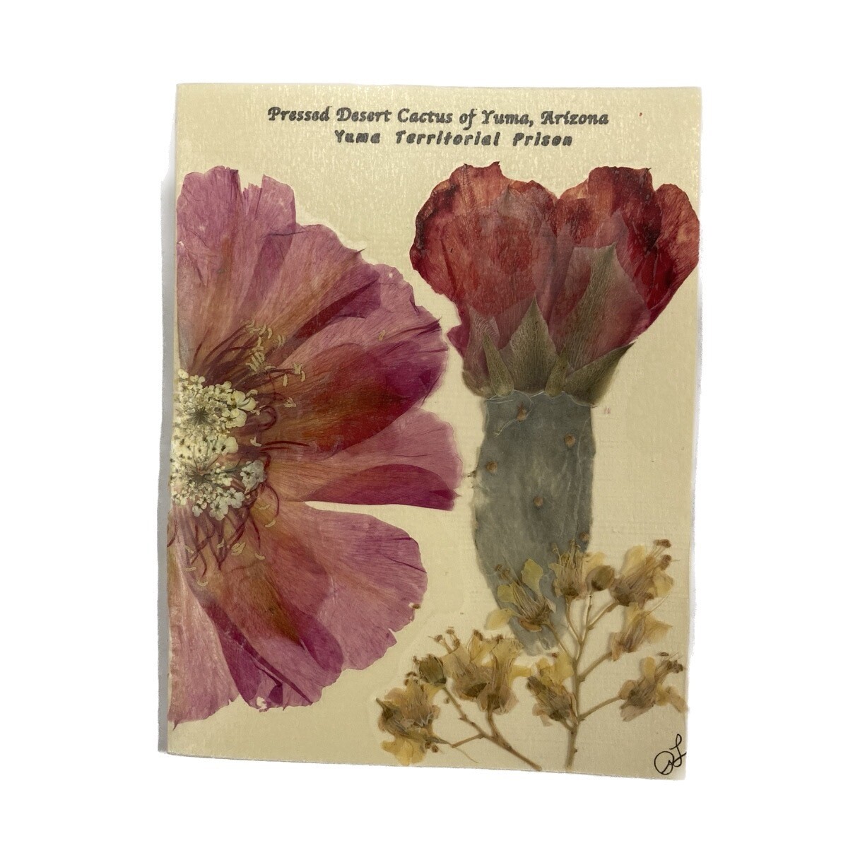 Arizona Pressed Flower Greeting Card
