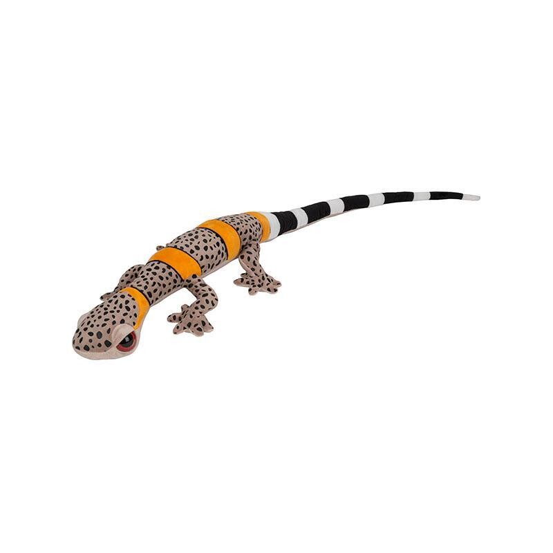 Funkyland Gecko Vietnamese Cave