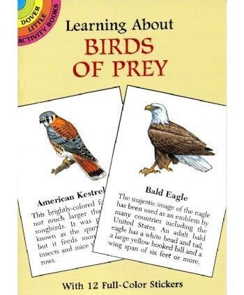 Birds Of Prey Sticker Book