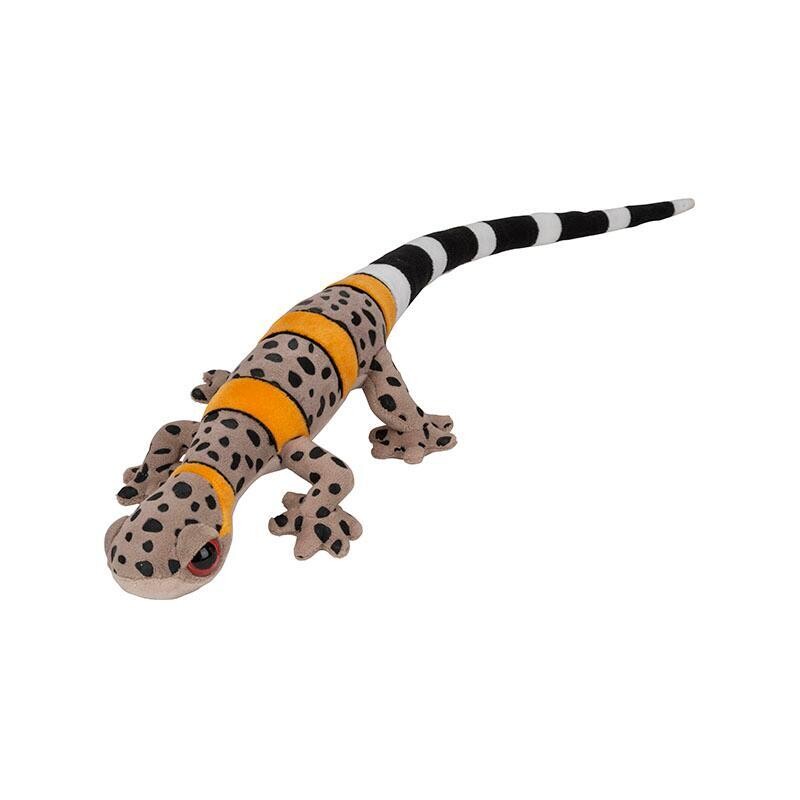 Funkyland S Gecko Vietnamese Cave