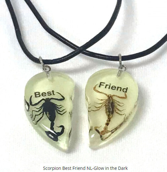 Glow-in-the-Dark Best Friends Scorpion Necklace