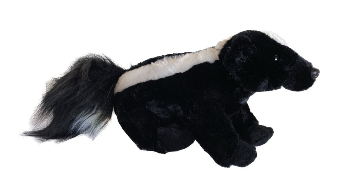 12&#39;&#39; Discovery Skunk