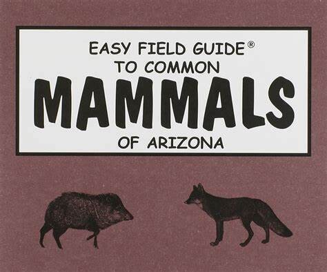 Easy Field Guide to Common Mammals of Arizona