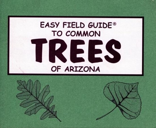 Easy Field Guide to Common Trees of Arizona