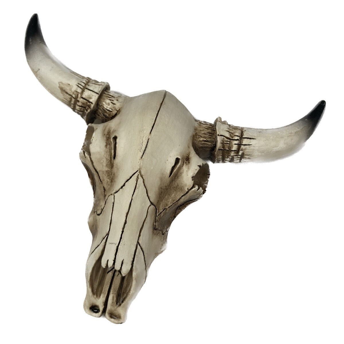 Longhorn Skull Paperweight