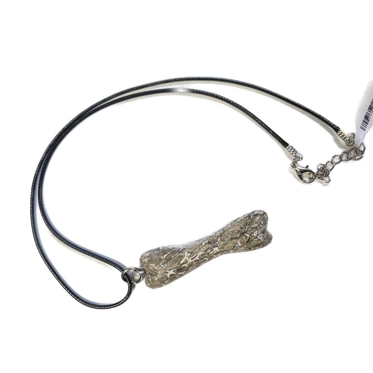 Fossil Dinosuar Bone Necklace