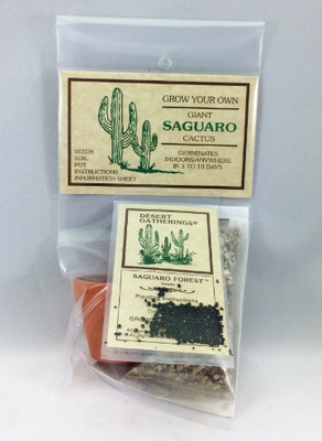 Seeds