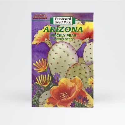Post Cards