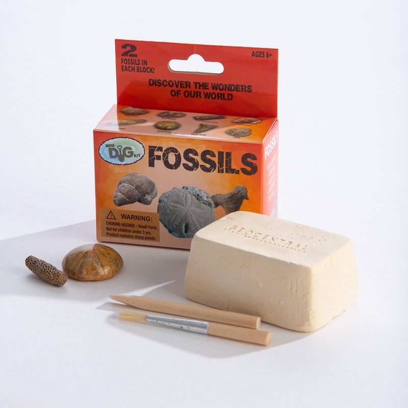 Fossil Mini Excavation Kit