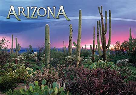 AZ Desert Storm Magnet