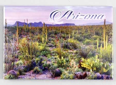 AZ Dusk Purple Magnet