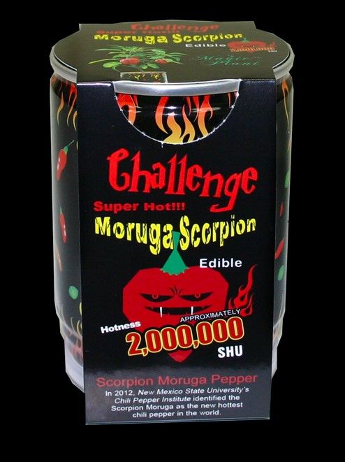 Moruga Scorpion Pepper Plant