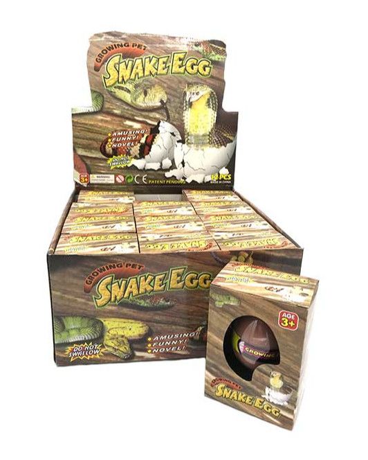 Growing Pet Snake Egg