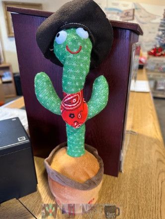 Dancing Cactus