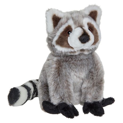 7" Plan M Racoon