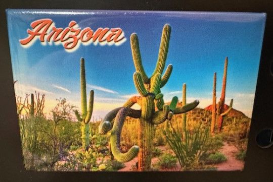 AZ Photo Sunrise Saguaro Magnet
