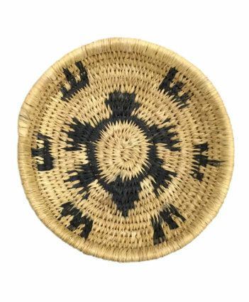 Turtle Coiled Basket Kit