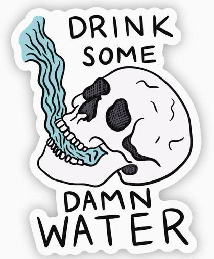 "Drink Some Dam Water" Skull Sticker