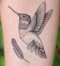 Hummingbird Tattoo