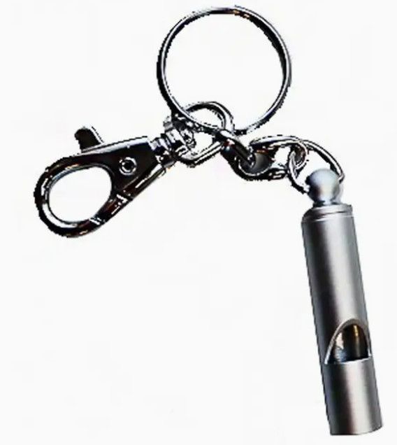 Emergency Safety Whistle Security Key chain