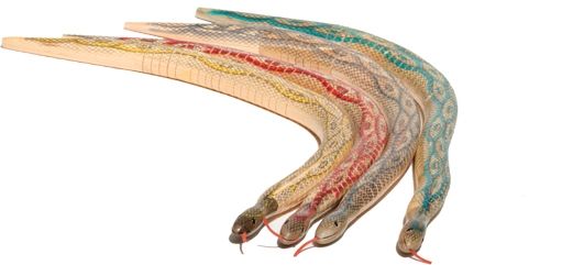 20" Wooden Movable Snake