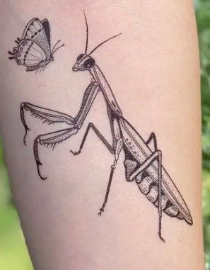 Praying Mantis Tattoo