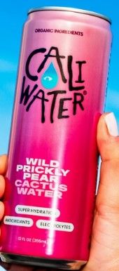 Wild Prickly Pear Cactus Water