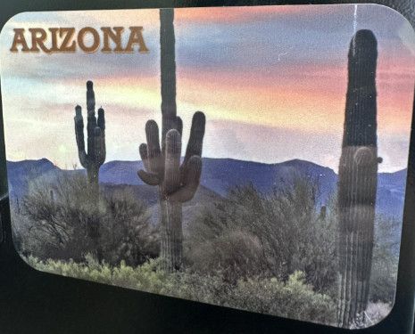 Arizona 3 Cactus Desert Sunset 4x3 Magnet 1-1509