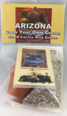 Mixed Cactus Dish Garden Kit