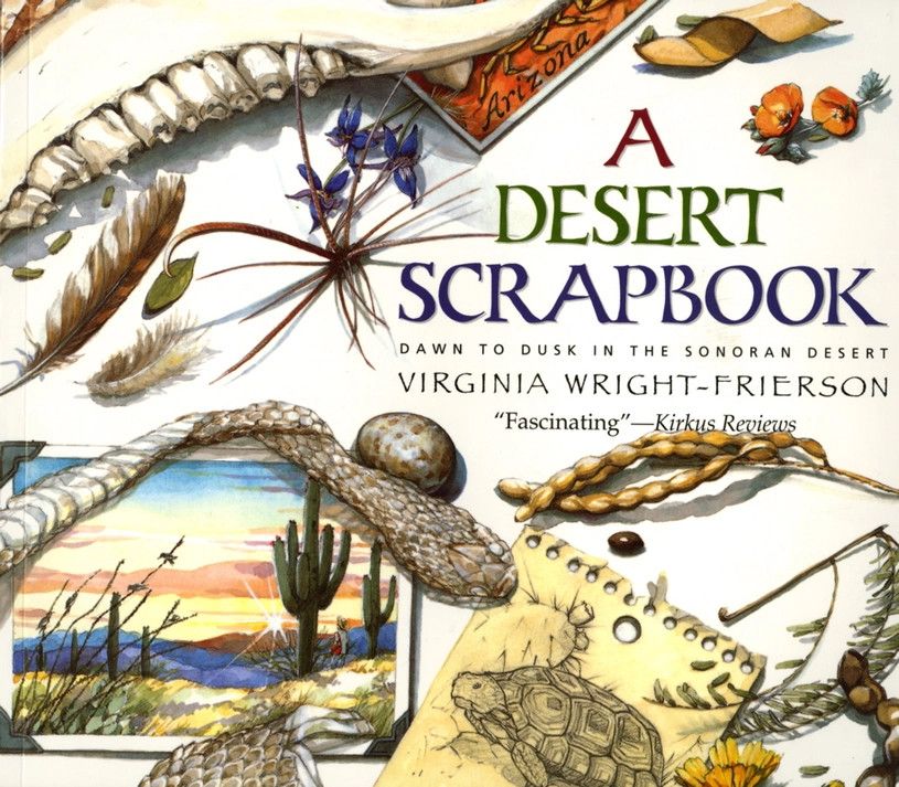 Desert Scrapbook: Dawn to Dusk in the Sonoran Desert