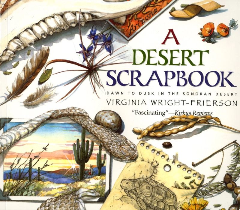 Desert Scrapbook: Dawn to Dusk in the Sonoran Desert