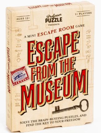 Escape from the Museum Puzzle