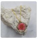 Daisy Dried Flower Gold Necklace