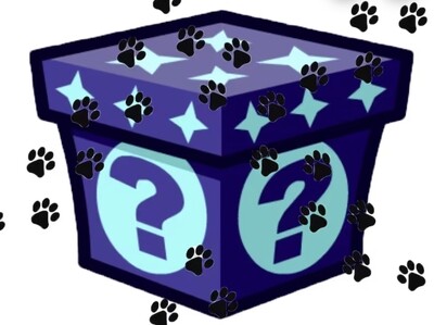 1 Mysterious Dog/Pup box