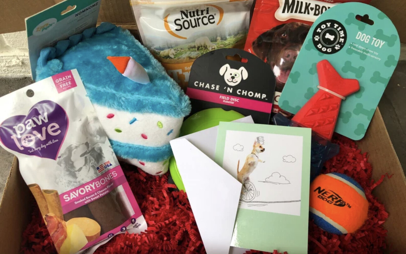 Double Pup Parcel - Doggy gift box - EIGHT Toys/Treats