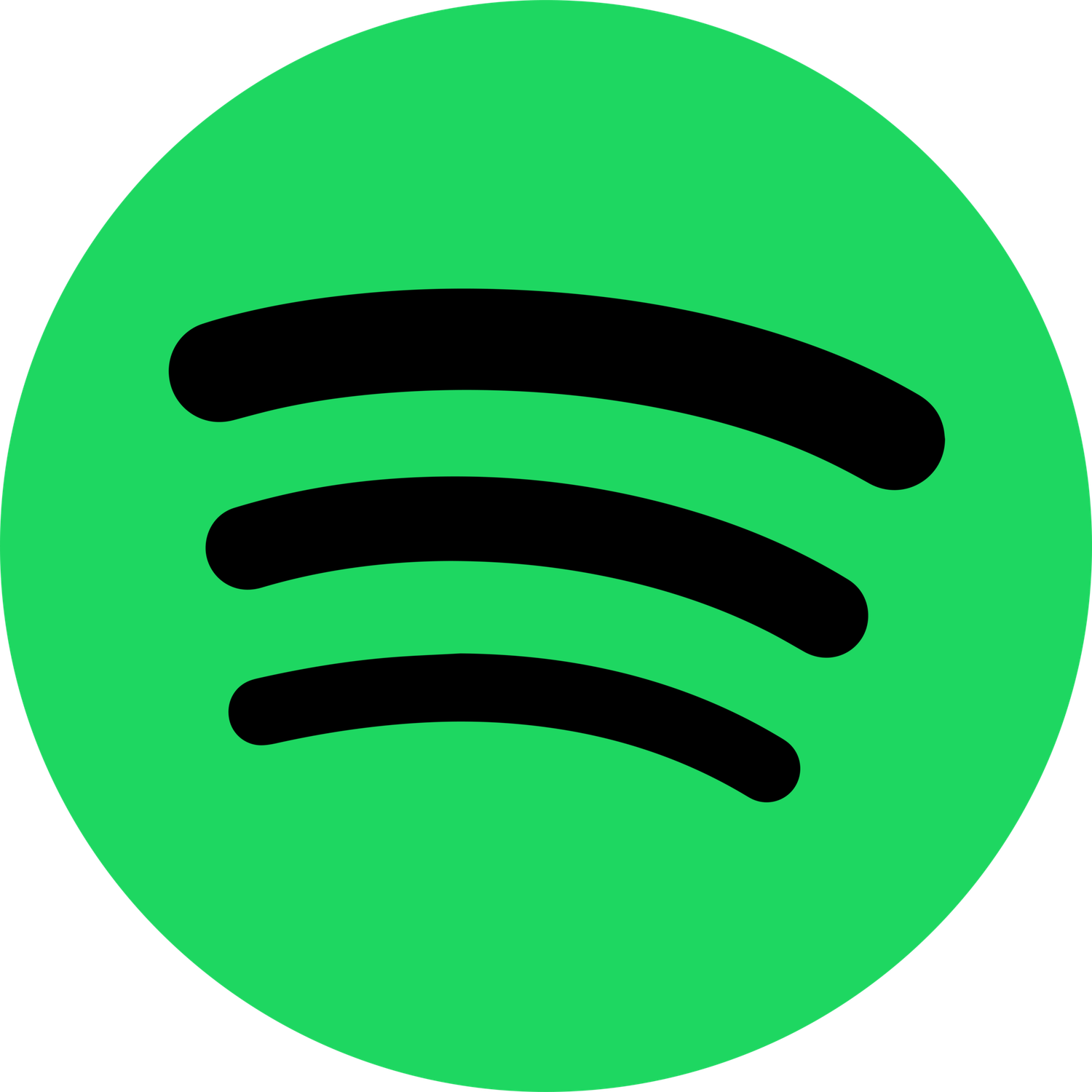 1,000 Spotify Monthly Listeners