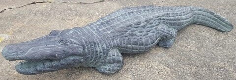 Alligator Medium "CC"