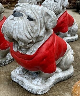 Bulldog Med. Sitting on Base