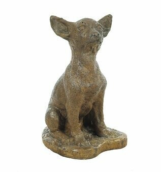 Dog Chihuahua Taco Dog