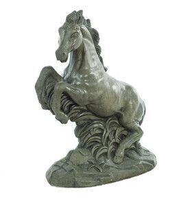 Horse Thunder Stallion