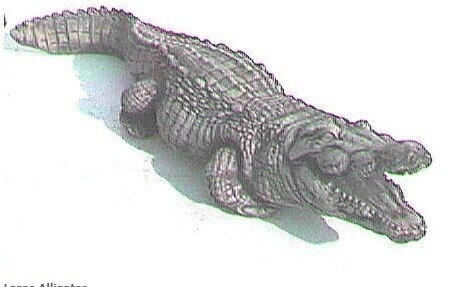 Alligator Large "CC"