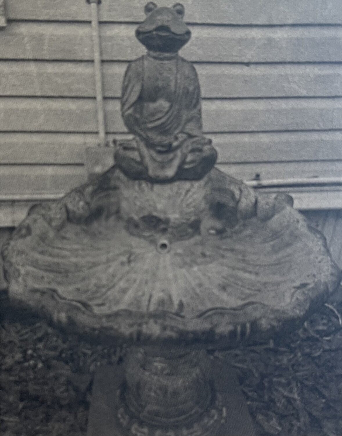 Buddha Frog on Leaf Fountain