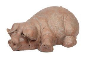 Pig Laying Down
