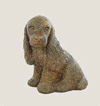 Dog Cocker Spaniel Sitting