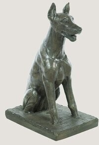 Dog Doberman on Base