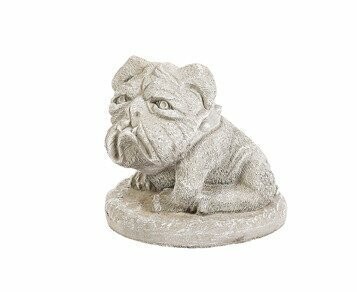 Short Stubby Bulldog